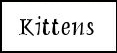 Kittens Cornish Rex
